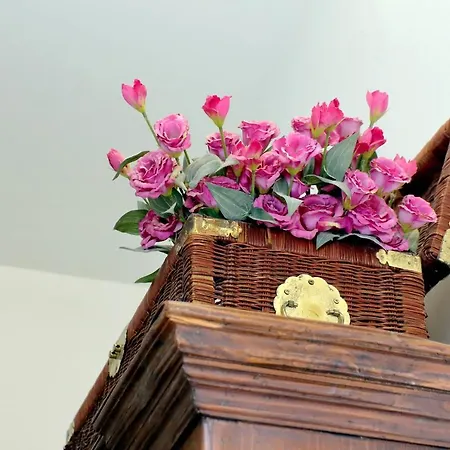 Ych-pretty Flat Close Pantheon Apartment *