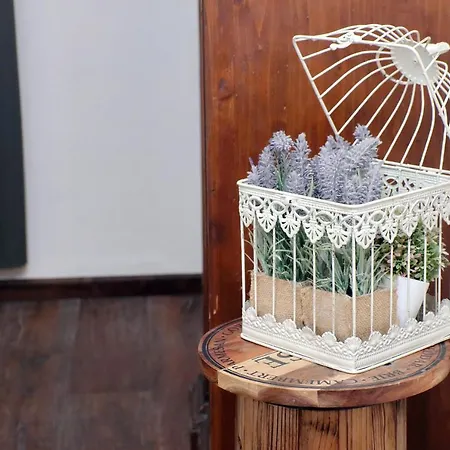 Ych-pretty Flat Close Pantheon Rome