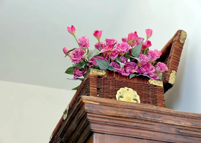 Ych-pretty Flat Close Pantheon Apartamento *